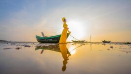 Vietnamese Diaspora: Cultural Impact and Community Connections