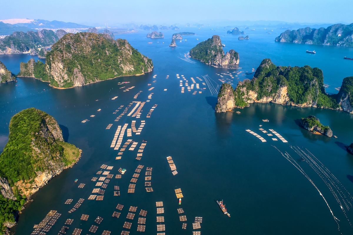 Ha Long Bay: A Hidden Gem of Vietnam’s Coastline