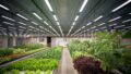 Global Grow Lights Market to Reach USD 21.4 Billion by 2034: Indoor Farming Revolution
