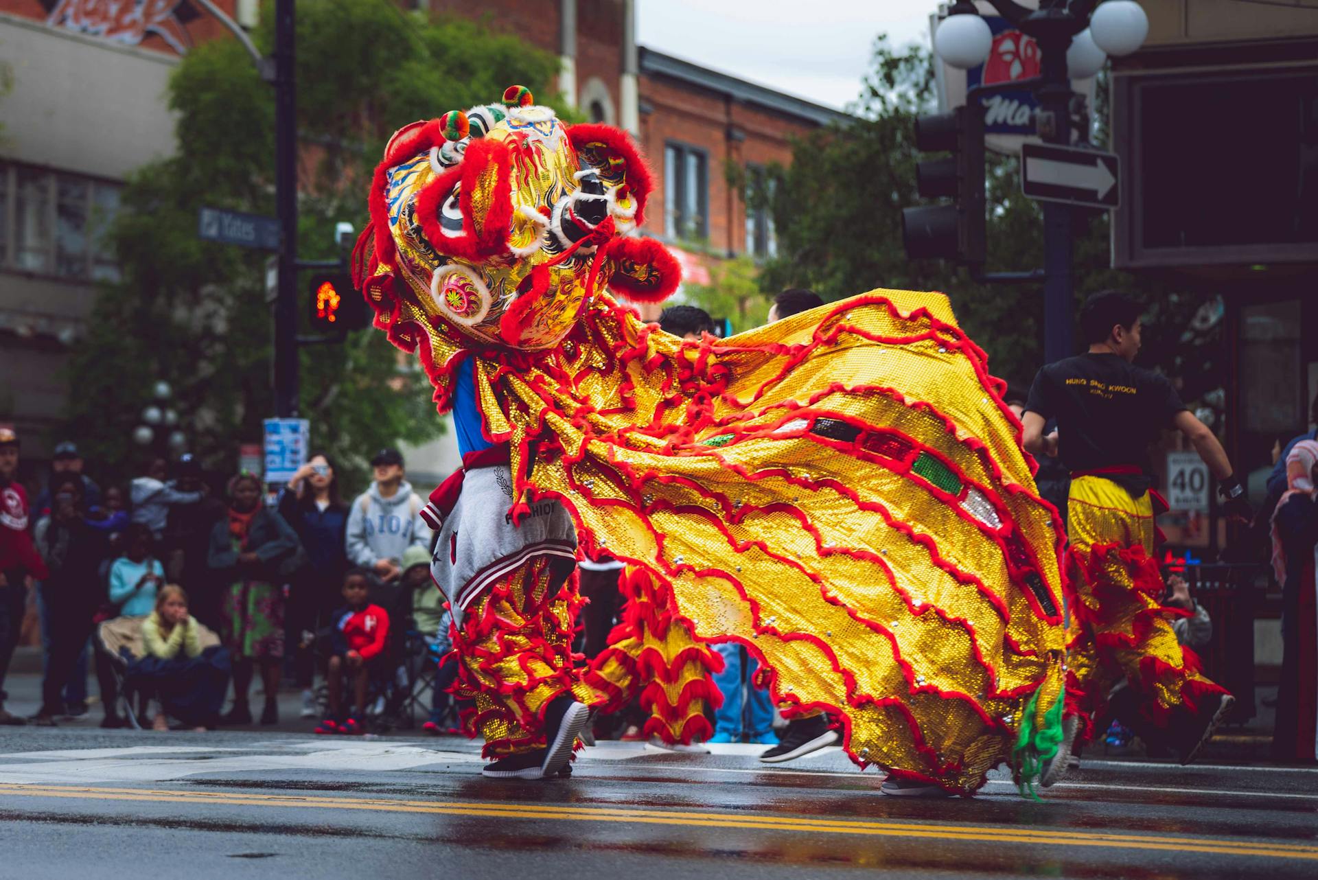 The Unique Lion Dances in Festivals