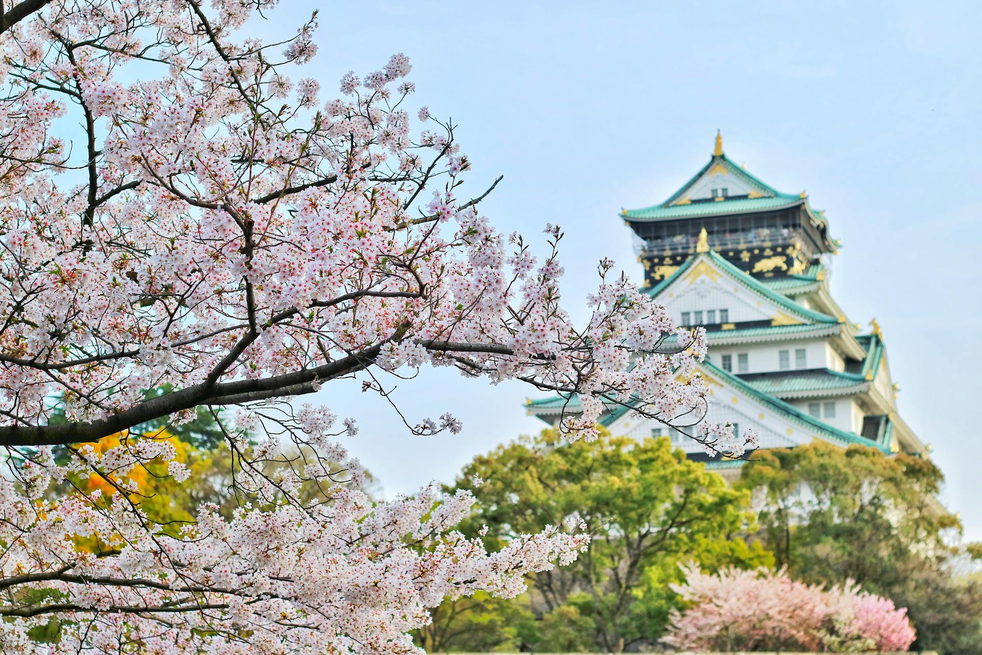 The Global Influence of Asian Culture The Global Influence of Asian Culture